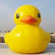 inflatable duck float